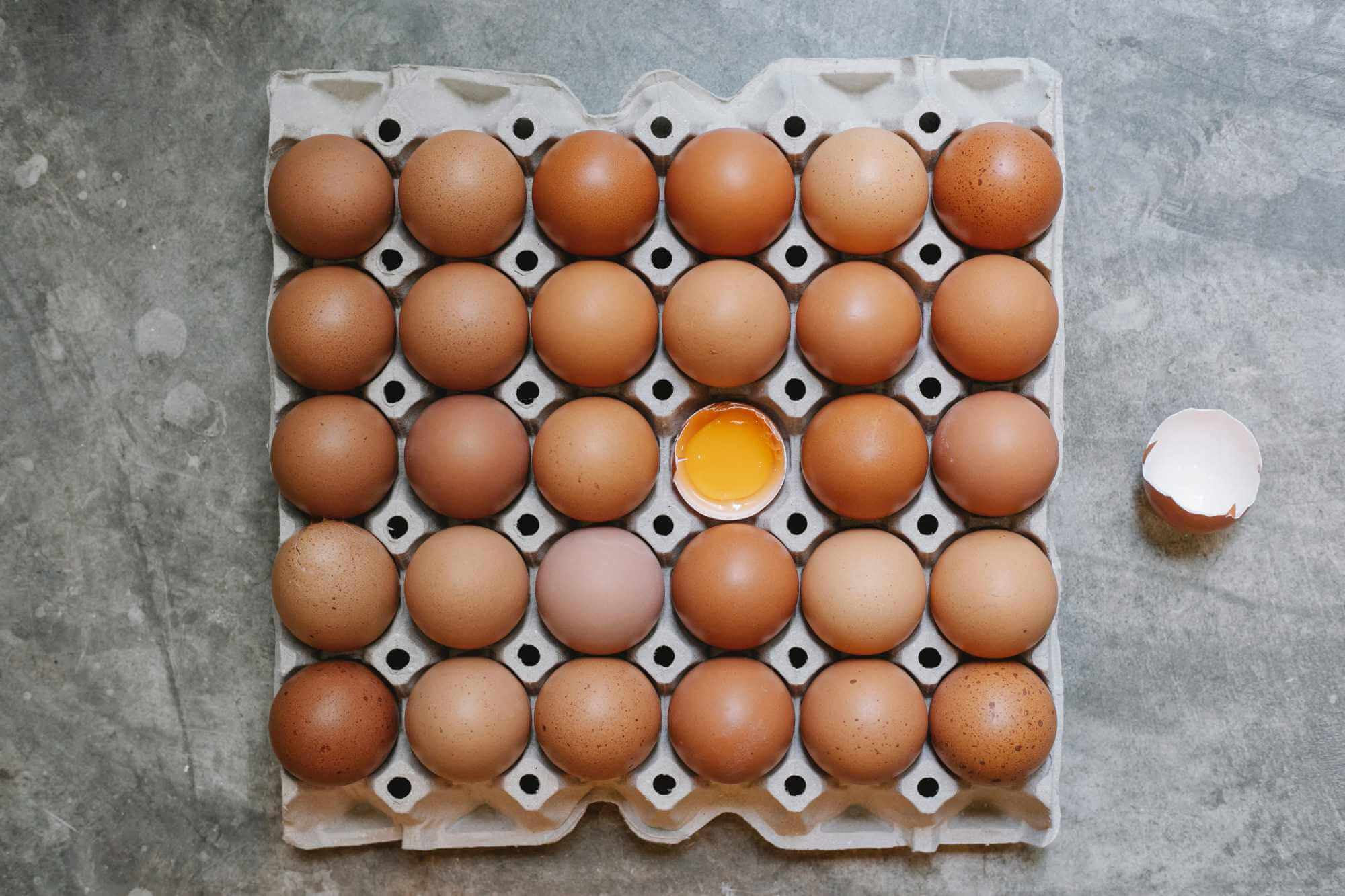 plato vajec a bílkoviny